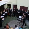 Eine kleine Hofmusik 22.6.2013 018